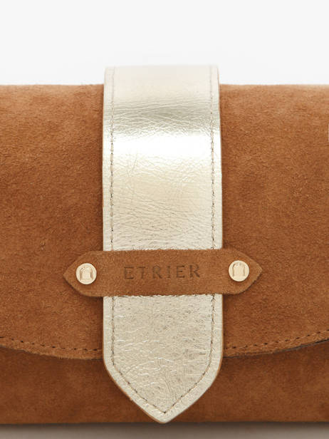 Shoulder Bag S Agnes Suede Leather Etrier Brown agnes EAGV205S other view 4